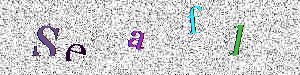 Recaptcha image